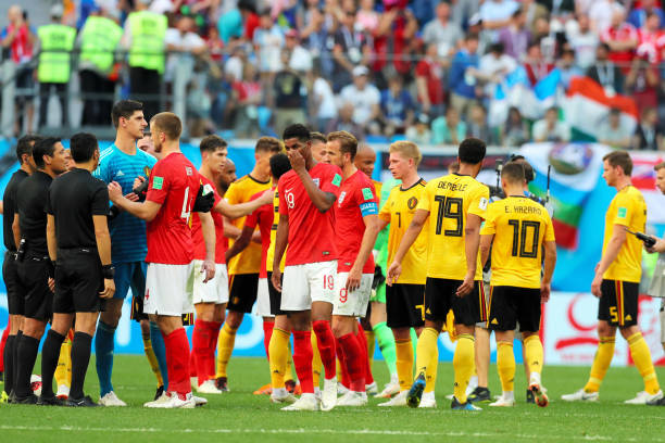 与其他同类 与其他同类